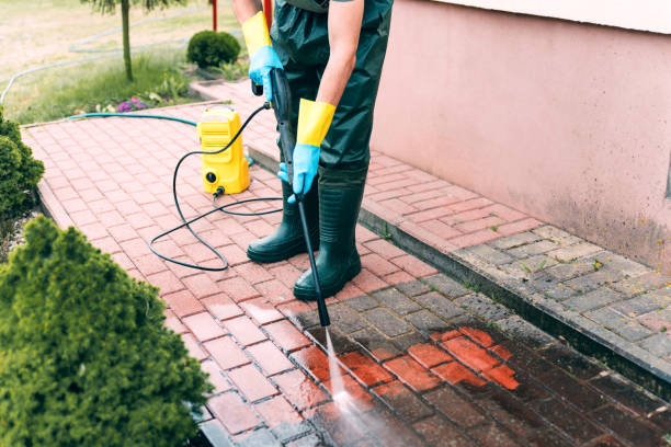 Best Roof Power Washing Services  in Charleston, MS